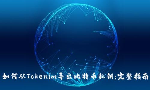 如何从Tokenim导出比特币私钥：完整指南