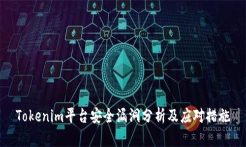 Tokenim平台安全漏洞分析及应对措施