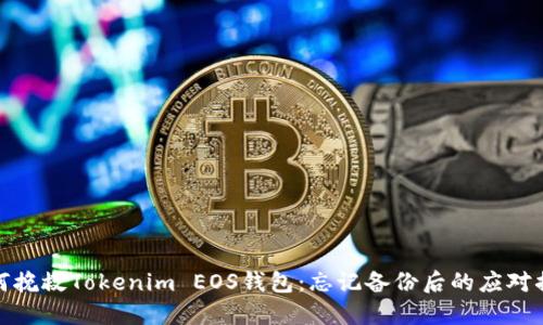 如何挽救Tokenim EOS钱包：忘记备份后的应对措施