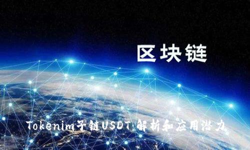 Tokenim子链USDT：解析和应用潜力