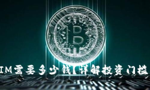 投资TokenIM需要多少钱？详解投资门槛与风险评估