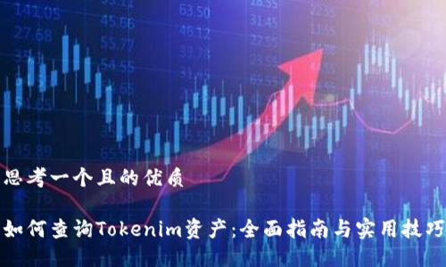 思考一个且的优质

如何查询Tokenim资产：全面指南与实用技巧