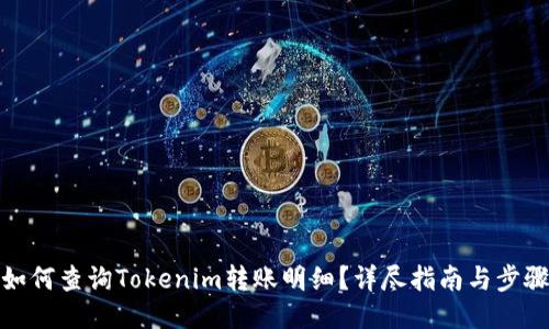 如何查询Tokenim转账明细？详尽指南与步骤