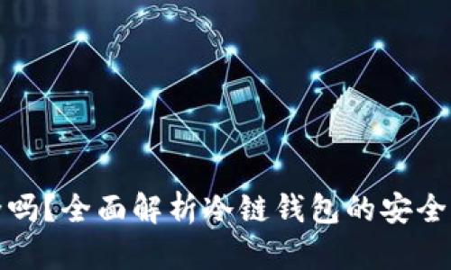 冷链钱包安全吗？全面解析冷链钱包的安全性与使用技巧