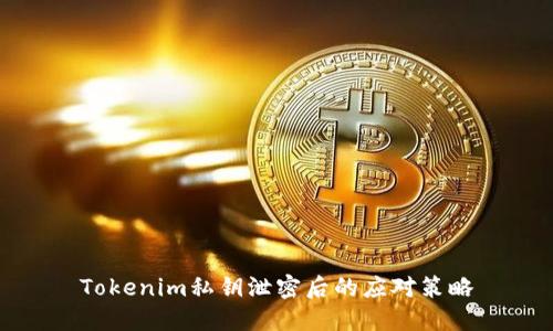 Tokenim私钥泄密后的应对策略