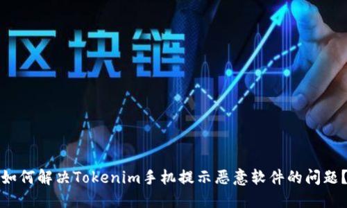 如何解决Tokenim手机提示恶意软件的问题？