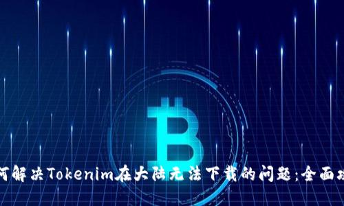 如何解决Tokenim在大陆无法下载的问题：全面攻略