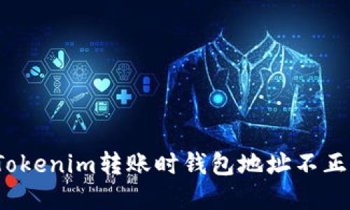 如何解决Tokenim转账时钱包地址不正确的问题？