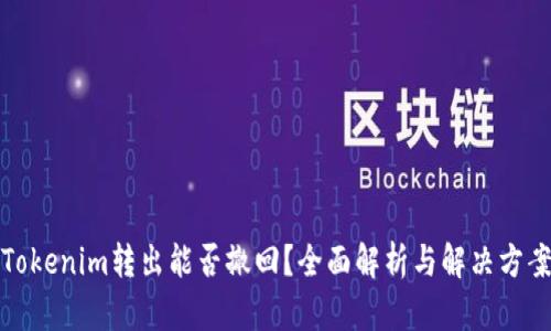 Tokenim转出能否撤回？全面解析与解决方案