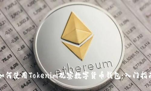 如何使用Tokenim观察数字货币钱包：入门指南