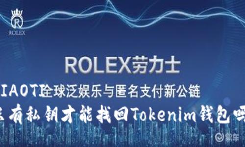 DIAOTI  
只有私钥才能找回Tokenim钱包吗？