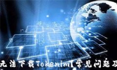 为什么我无法下载Tokenim？