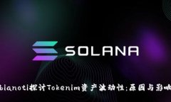 bianoti探讨Tokenim资产波动性