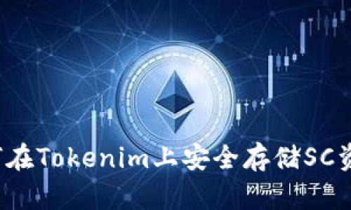 如何在Tokenim上安全存储SC资产？