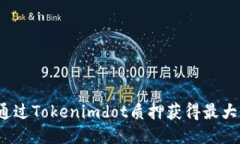 如何通过Tokenimdot质押获得最大收益？