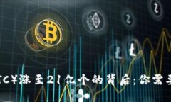 中本聪币（BTC）涨至21亿个