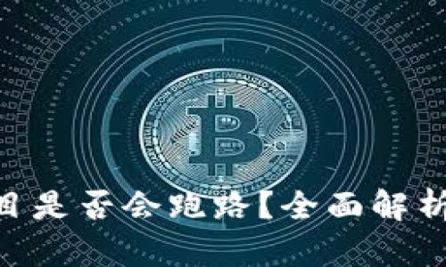 Tokenim项目是否会跑路？全面解析与风险评估