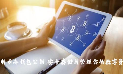 比特币冷钱包公钥：安全存储与管理你的数字资产