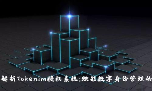 全面解析Tokenim授权系统：赋能数字身份管理的未来