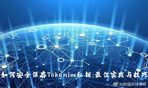 如何安全保存Tokenim私钥：最佳实践与技巧