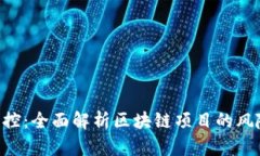 Tokenim风控：全面解析区块