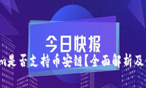  Tokenim是否支持币安链？全面解析及使用指南