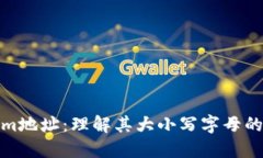 Tokenim地址：理解其大小写