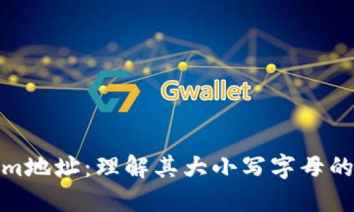Tokenim地址：理解其大小写字母的重要性