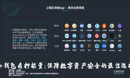 冷钱包质押能量：保障数字资产安全的最佳选择