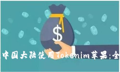 如何在中国大陆使用Tokenim苹果：全面指南