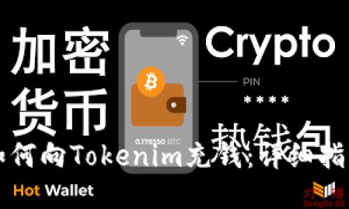 如何向Tokenim充钱：详细指南