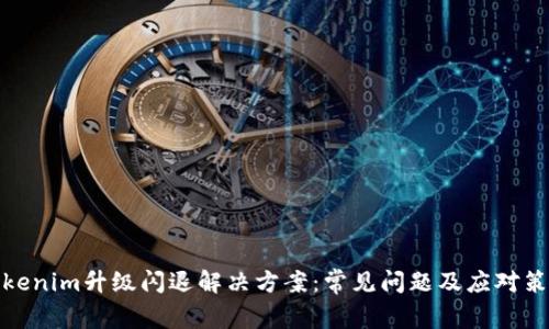 Tokenim升级闪退解决方案：常见问题及应对策略