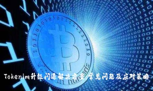 Tokenim升级闪退解决方案：常见问题及应对策略