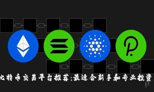 2023年比特币交易平台推荐：最适合新手和专业投资者的选择