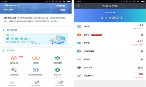 中本聪币的用途与未来展望：全面解析