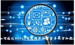 如何通过OKPay钱包购买加密