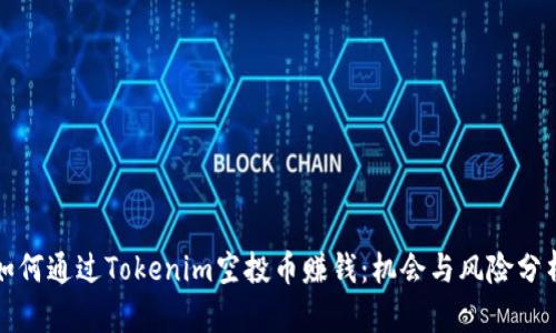 如何通过Tokenim空投币赚钱：机会与风险分析