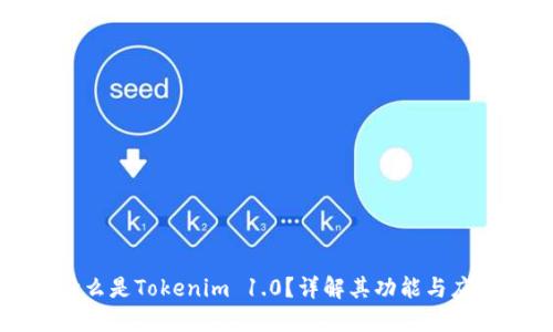 什么是Tokenim 1.0？详解其功能与应用