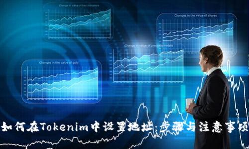 如何在Tokenim中设置地址：步骤与注意事项