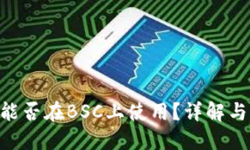 Tokenim能否在BSC上使用？详解与应用场景