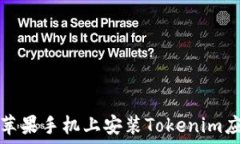   如何在苹果手机上安装