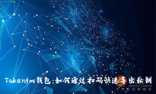 Tokenim钱包：如何通过扫码快速导出私钥