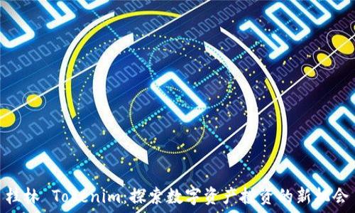   
桂林 Tokenim：探索数字资产投资的新机会