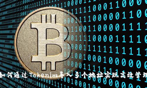 如何通过Tokenim导入多个地址实现高效管理