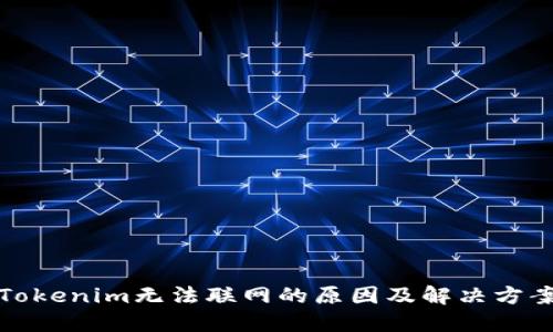 Tokenim无法联网的原因及解决方案