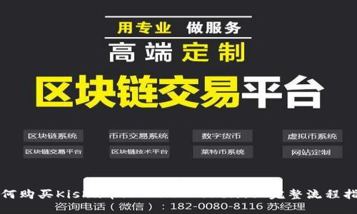 如何购买Kishu币（KISHU Token）: 完整流程指南