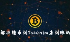  如何解决转币到Tokenim未到