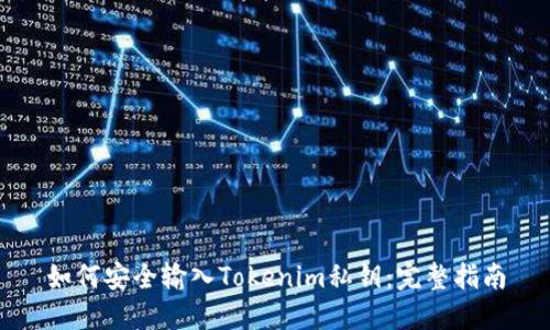 如何安全输入Tokenim私钥：完整指南