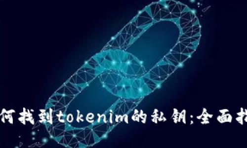 如何找到tokenim的私钥：全面指南
