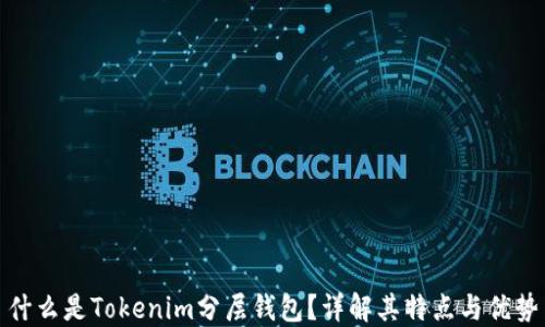 
什么是Tokenim分层钱包？详解其特点与优势